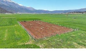 Antalya’da Tarımsal Sulama Altyapısında Büyükşehir Desteğiyle Yerel Üretim Güçleniyor