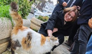 Ata Tohumu ile Sağlıklı Nesiller: Maltepe Belediyesi ve LÖSEV İş Birliğinde Yerli Malı Haftası Etkinliği