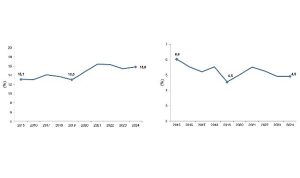 Girişimcilik ve İş Demografisi: 2024 Doğum, Ölüm ve Hayatta Kalma Göstergeleri