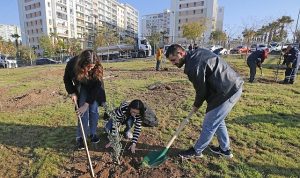 Karşıyaka’da İlk Fidan Düğümü: Aşılı Zeytinlerle Yeşil Baştan Başladı