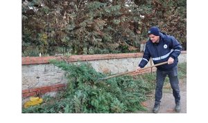 Kartepe Mezarlıklarında Bakım ve Güvenlik Çalışmaları Yılı Boyunca Sürüyor