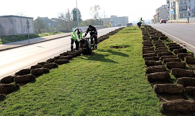 Kartepe Tramvay Hattı İçin Sökülen Ağaçlar ve Çimler Fidanlıkta Yeniden Yaşıyor