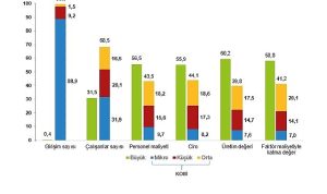 KOBİ İstatistikleri: 2024 Verileriyle Girişimcilik ve Üretkenlik Profili