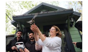 Ormanya’da Mantar Avı: Bilim, Doğa ve Gastronomi Bir Arada