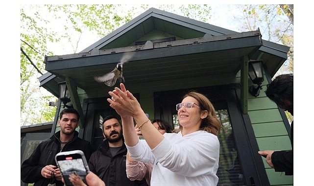 Ormanya’da Mantar Avı: Bilim, Doğa ve Gastronomi Bir Arada