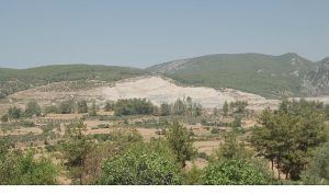 2025 Çevre Mücadelesi: Umut ve Dayanışmayla Yükselen Sesler