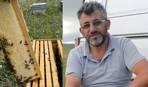 Arıyı Doğaya Taşıyan Sıra Dışı Balışözü: Ali Yağışan’ın Doğal Arıcılık Anlayışı