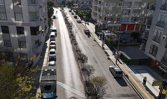 Buca’da Park ve Refüjlerde Yenilikçi Bakım Programı: Estetik ve Güvenli Ulaşım İçin Şebeke Dokunuşları
