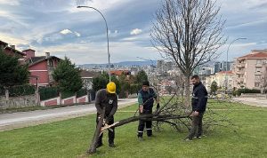 Bursa’da Şiddetli Lodos: Ağaç Diyarında Ulaşılan Hız ve Müdahale