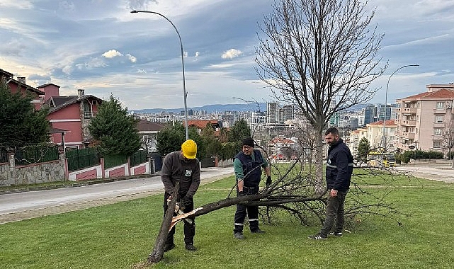 Bursa’da Şiddetli Lodos: Ağaç Diyarında Ulaşılan Hız ve Müdahale