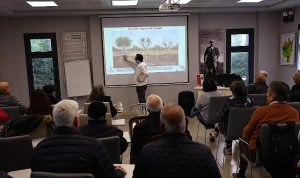Efes Selçuk Belediyesi ve İzmir Büyükşehir Belediyesi Tarımsal Hizmetler ile Zeytin Budama Eğitimi: Yöre Üreticileri için Bilgi ve Uygulama