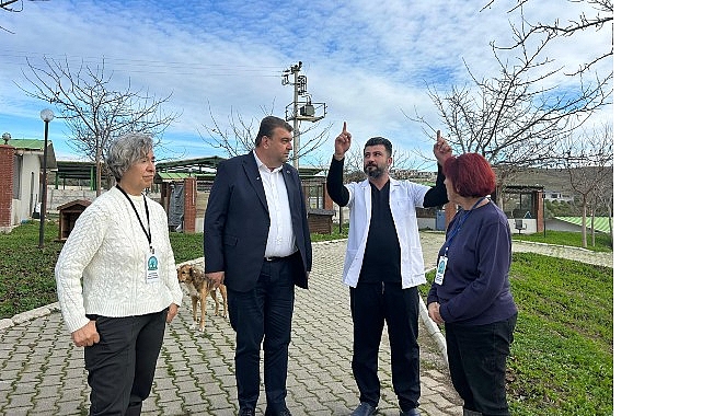 Kulübe Destek Kampanyasıyla Sokak Hayvanlarına Doğal Yaşam Alanı