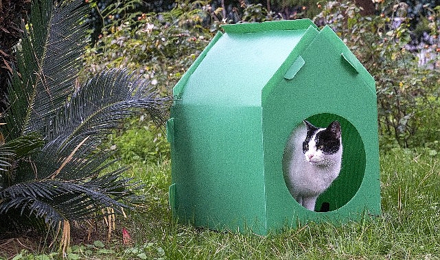 Portatif Kedi Evleriyle İzmir’de Sokak Hayvanlarına Sıcak Bir Yuva
