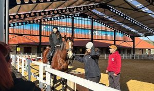 AliaPark’ta Atla Terapi: Engellilerle Dolu Anlar ve Toplumsal Dayanışma