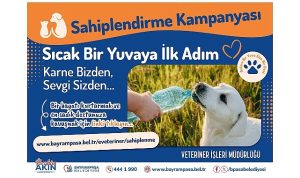 Bayrampaşa Belediyesi Sahiplendirme Kampanyasıyla Sokak Hayvanlarına Kalıcı Yuva
