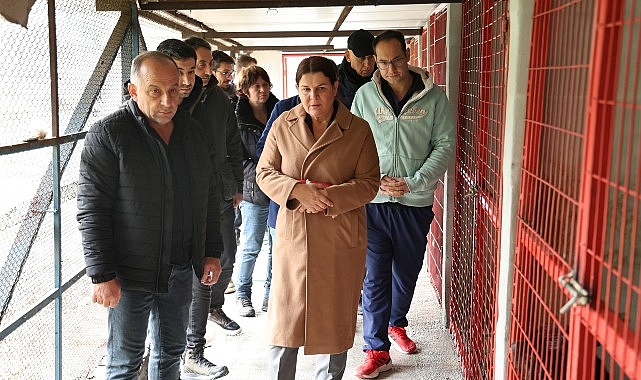 Foça Belediyesi: Hayvanseverlerle Barınakta Güçlü İş Birliği ve Sürekli Bakım Vizyonu