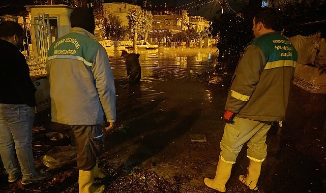 Kemer’de Sağanak Sonrası Temizlik ve Tedbirler: Ekipler Birlikte Çalışıyor