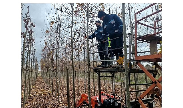 Merkez Fidanlığı ve Üretim Arazilerinde Yıllık Bitki Üretim Profili
