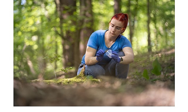Women in STEM Burs Programı: Türkiye’den Kadınlar İçin Tam Burslu Yüksek Lisans Fırsatı