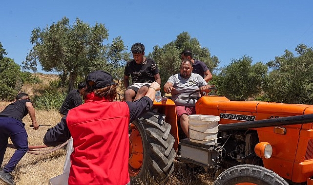 Akyeniköy Yangınına Hızlı Müdahale: Rüzgarın Etkisi ve Yetkili Kurumların Koordinasyonu