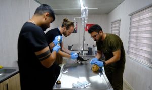 Altıeylül Belediyesi’nden Sokak Hayvanları İçin Güvenli Liman: 306 Can Dost Koruma Altında