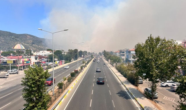 Balıkesir'de Orman Yangınları Büyüyor: Altınoluk ve Madra Dağı'nda Tahliyeler Başladı