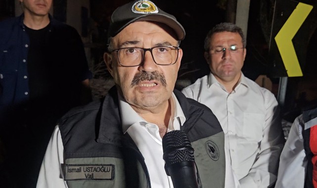Balıkesir'deki Yangınla Mücadele: Vali Ustaoğlu'ndan Son Durum Açıklaması