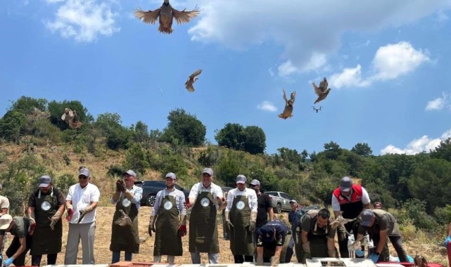 Havran'da Keklik Salım Programı: Doğal Yaşam ve Biyolojik Çeşitlilik Destekleniyor