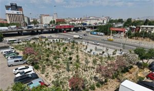 Kemer’de Mikro Orman: Şehrin Kalbinde Yeşil Bir Doku Oluşuyor