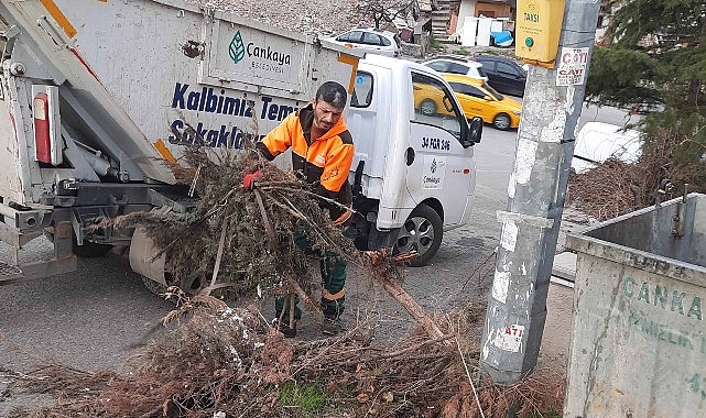 Çevreyi Korumak İçin Hacimli Atıkların Doğru Noktalara Taşınması